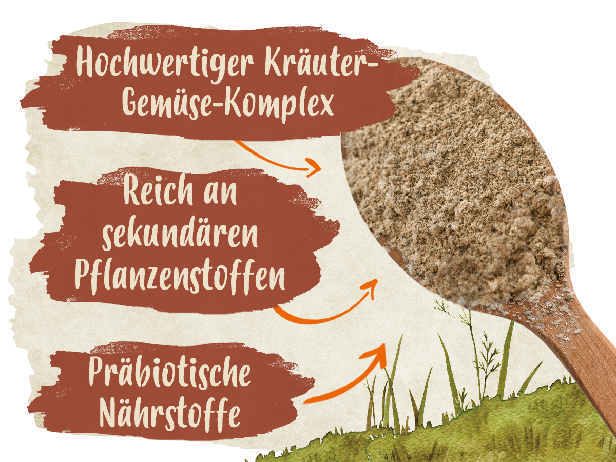 PowerHerbs von Ida Plus: Hochwertiger Kräuter-Gemüse-Mix, sekundäre Pflanzenstoffe, Präbiotische Nährstoffe