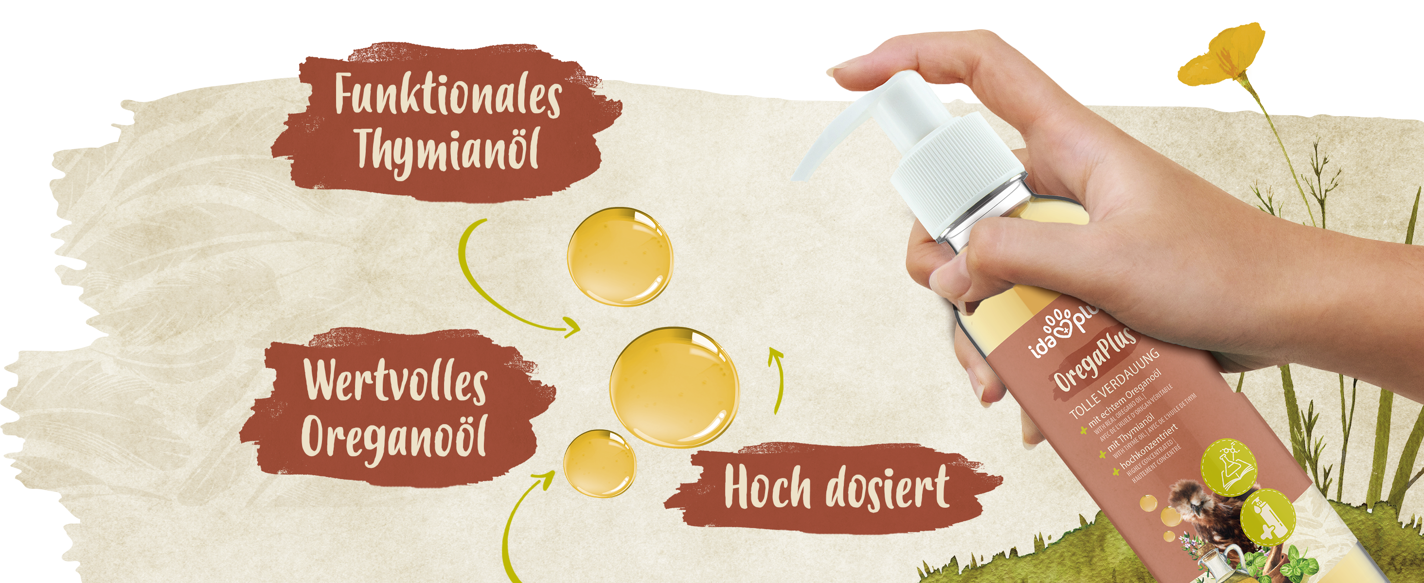 Erklärungen zu Ida Plus Orega Plus - Wertvolles Oreganoöl, hochdosiert. Das Produkt wird in einer Hand gehalten.