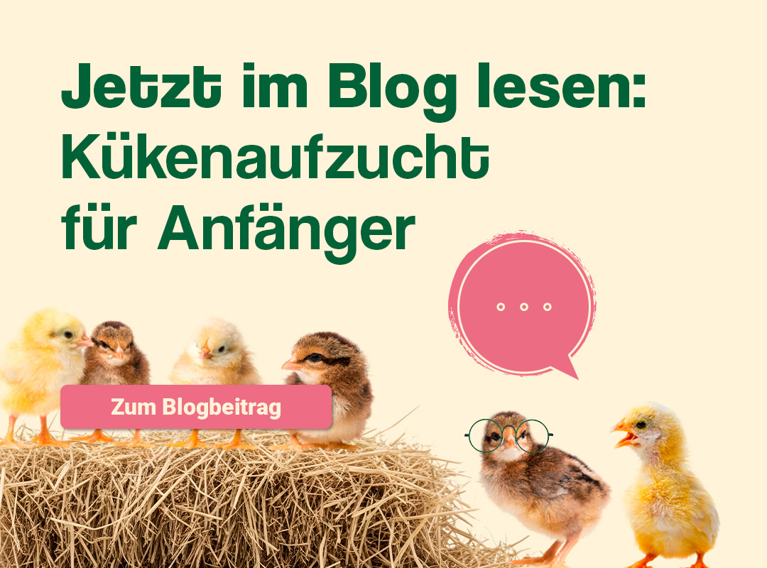 Jetzt im Blog Lesen