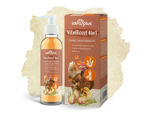 Ida Plus - VitalBoost 4in1 Eine Pumpflache mit Verpackung