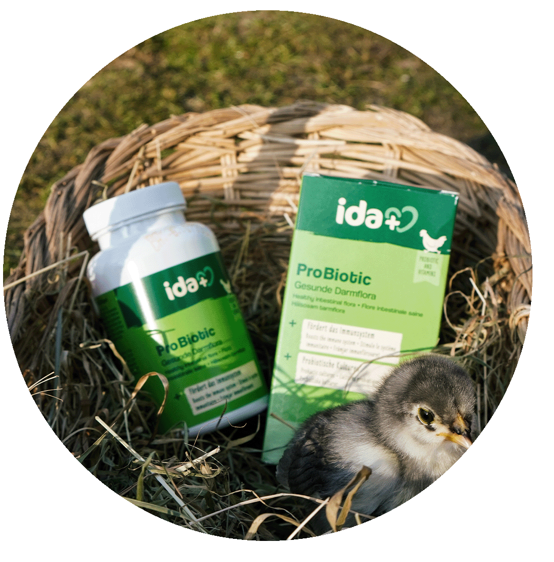 ProBiotic f&uuml;r K&uuml;ken und H&uuml;hner zur Unterst&uuml;tzung der Darmflora