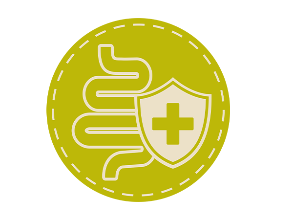 Benefit_ProBiotic_1 Icon in grün, auf dem ein Darm, sowie ein Schutzschild abgebildet sind