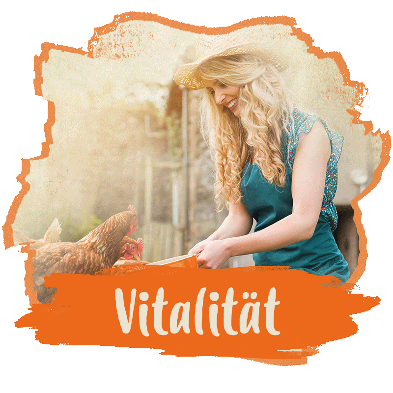 Kategoriebild Vitalität Button Vitalität. Abgebildet ist eine blonde Frau, die Hühner füttert. Auf dem Button ist der Text "Vitalität" abgebildet, da dies die Kategorie darstellt, für die der Button steht.