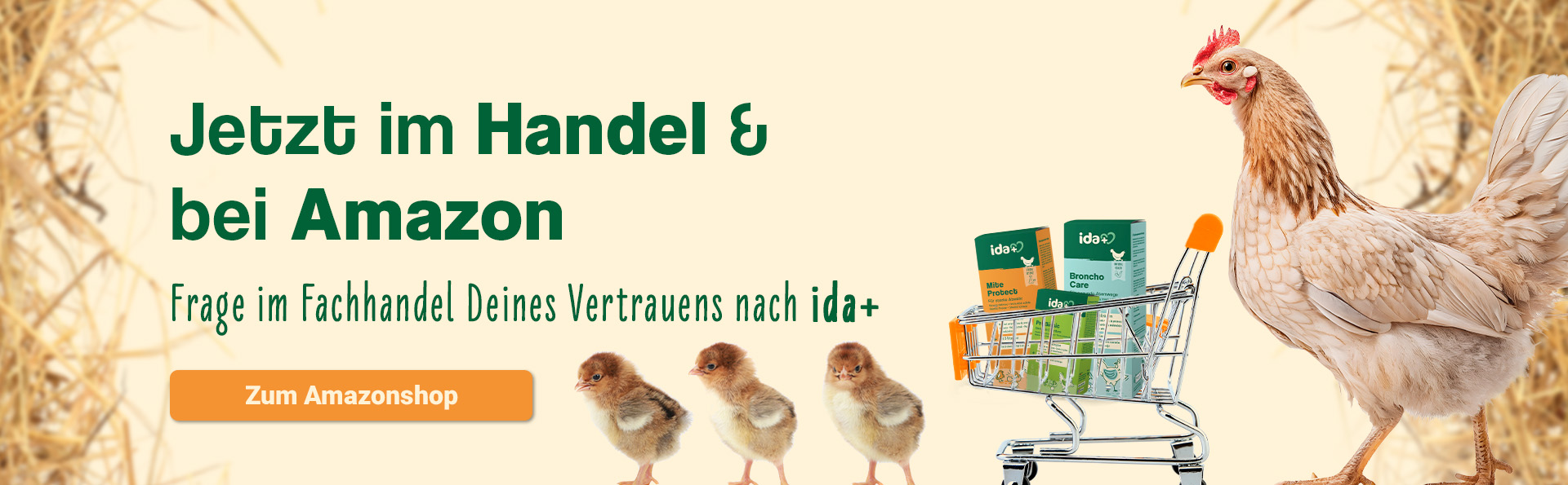 Jetzt im Handel & bei Amazon