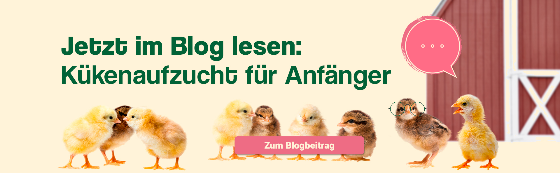 Jetzt im Blog lesen
