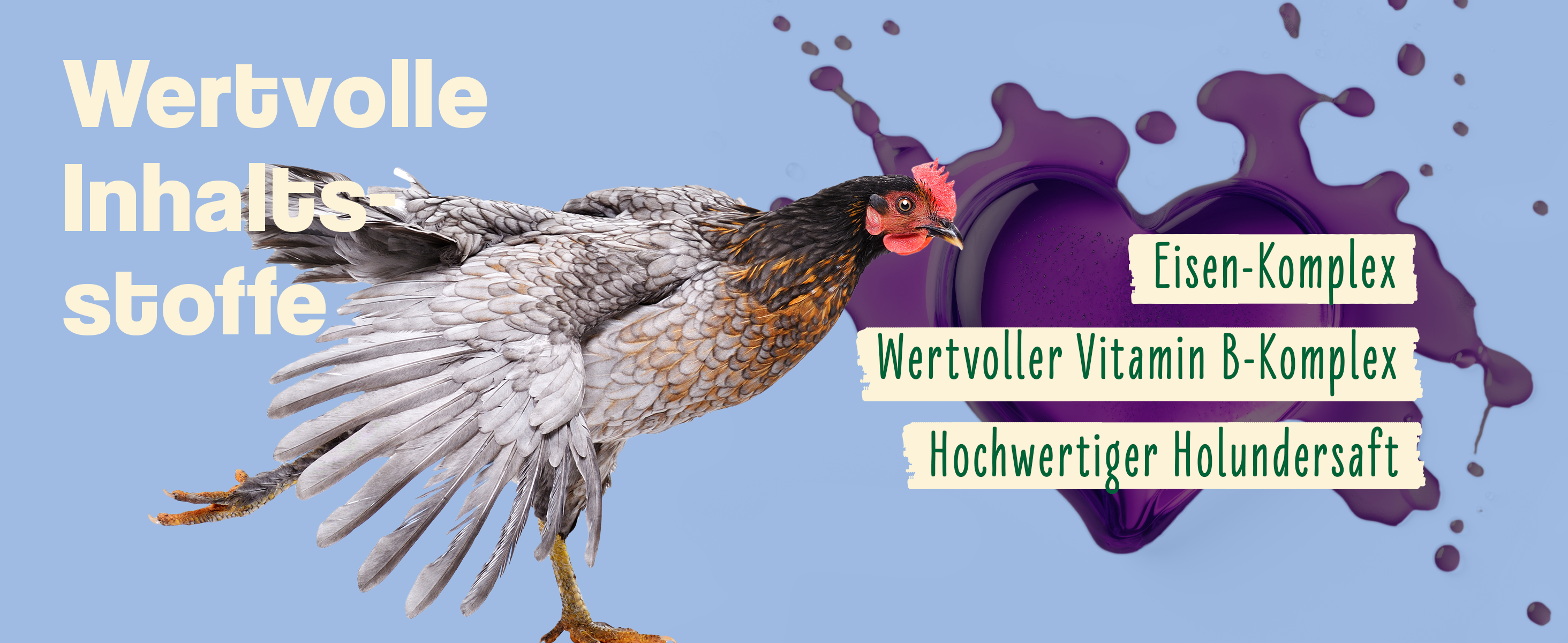Erklärungen zum Ida Plus ReVital. Das Produkt (Pumpspender) wird in einer Hand gehalten. Text: Hochwertiger Holundersaft, wertvoller Vitamin B-Komplex, Eisen-Komplex