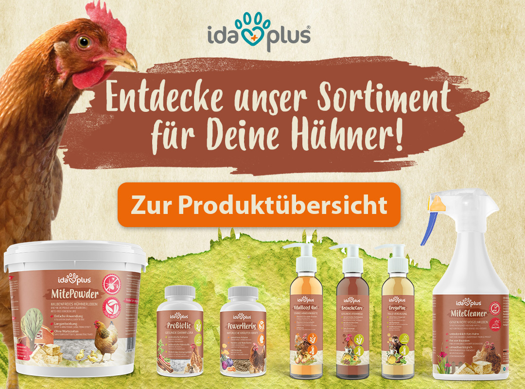 Entdecke unser Sortiment Entdecke unser Sortiment für Deine Hühner. Mit Klick auf das Bild gelangt man auf die Übersicht der Ida Plus Produkte