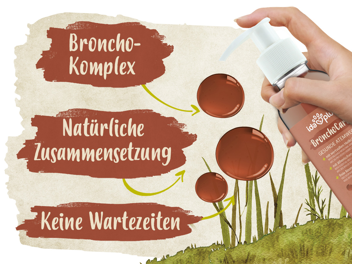 Erklärungen zum Ida Plus BronchoCare. Broncho-Komplex, Natürliche Zusammensetzung und keine Wartezeiten. Das Produkt wird von einer Hand gehalten.