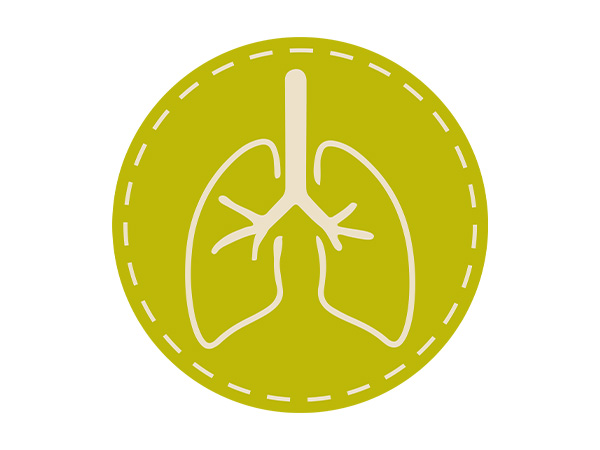 Benefit_BronchoCare_2 Icon mit der Abbildung von Lungen