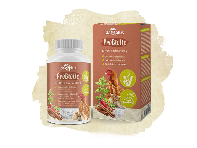 Produktbild_ProBiotic_800x600 Produktbild von Ida Plus Probiotic für eine gesunde Darmflora.